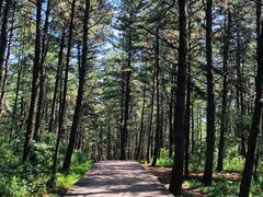 -帽儿山国家森林公园