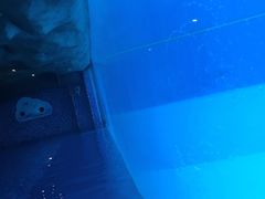 -横琴湾水世界