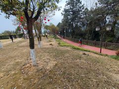 -铁山坪森林公园