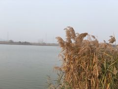 -城市运动公园(未央区)