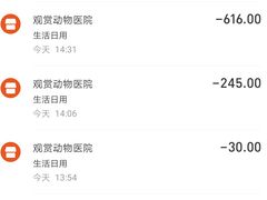 -北京观赏动物医院·24小时大型综合·猫专科·异宠专科