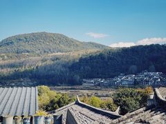 -YLK云南小粒咖啡·云里咖(二号店)