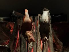 -本源食集 日式烧肉·炉端烧(东海缤纷店)