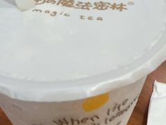 -猫的魔法密林(衣裳街店)