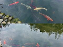 -成都杜甫草堂博物馆