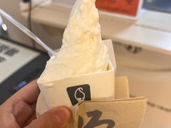 -野人先生现做冰淇淋(北京环宇荟店)
