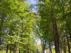 -云龙湖旅游景区