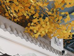 -食悦江南·淮扬菜·烤鸭(亚运村·惠新店)