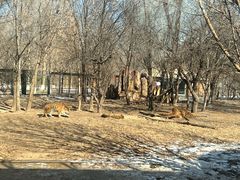 -北京野生动物园