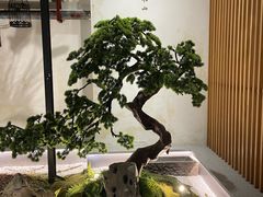 -蜜桃餐厅·伴山(湖滨商业街店)