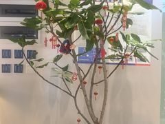 -滇铺子·云南特色菜·第九届野生菌美食节(东风东路c86店)