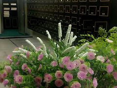 -丽辰新韩式商务SPA·洗浴桑拿·自助餐食
