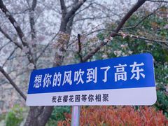 -高东镇樱花园
