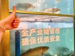-得意咚瓜·顺德鱼生·冬瓜盅火锅