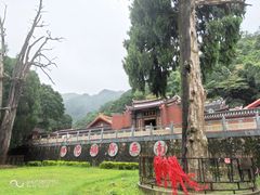 -灵光寺