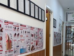 -宠福鑫动物医院(望京分院)