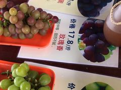 -马陆小张葡萄园农家乐