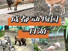 -成都动物园