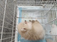 -杭州西湖银泰百货