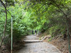 -北京鹫峰国家森林公园