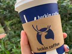 -瑞幸咖啡(凯德龙之梦莘庄店)