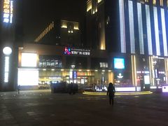 -紫荆广场·花漫里