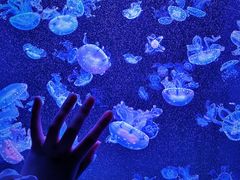 -成都浩海立方海洋公园