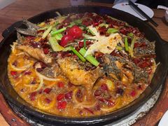 -老板恋上鱼(恒隆广场店)