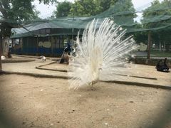 -武汉紫薇都市田园