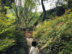 -法云安缦酒店
