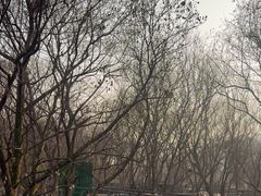-西湖风景区-江洋畈生态公园