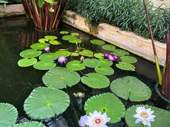 -国家植物园南园