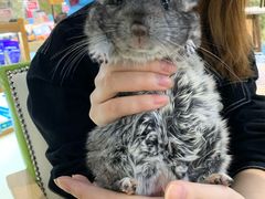 -龟与熊猫宠物公园(南坪店)