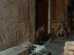 -老三烧烤(二环西路店)