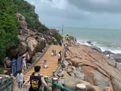-广东惠东海龟国家级自然保护区
