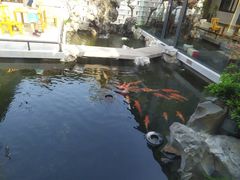 -小陆莲花蟹园农家乐(莲花岛店)