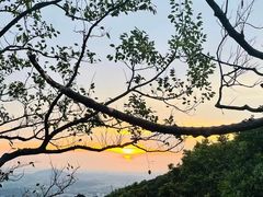 -紫金山山顶公园