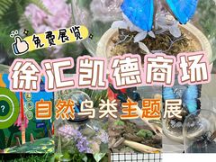 -LuOne凯德晶萃广场(徐家汇路店)