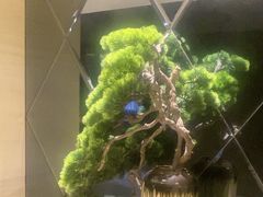 -永膳精致本味湘菜(麓谷店)