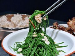 凉拌鲜沙葱-蒙料·手把肉(望京店)