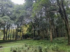 -杭州植物园