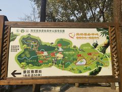 -西双版纳原始森林公园