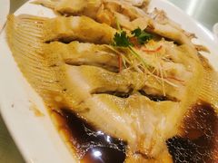 清蒸多宝鱼-新洪记·丽久饭店(铁西店)