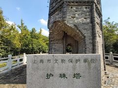 -上海佘山国家森林公园天马山园