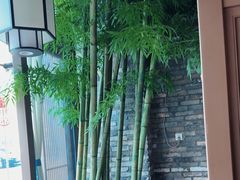 -毛家饭店(平湖店)