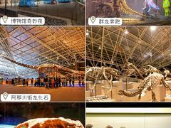 -世界恐龙谷景区