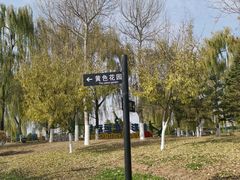 -莫子山公园