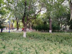-丰台科技园生态主题公园