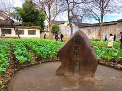 -绍兴鲁迅故里·沈园景区