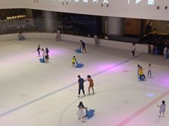 -TheRink大零溜冰场(IFS国金中心店)